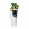 Vazonas Tubus Slim Shine, 150 mm
