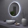 Veidrodis FFJ LED, Chrome, 80 cm