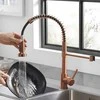 Virtuvinis maišytuvas REA Colin, Brushed Copper