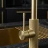 Virtuvinis maišytuvas Rea Master, Brushed Gold