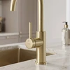 Virtuvinis maišytuvas REA Rivo, Brushed Gold