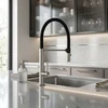 Virtuvinis maišytuvas Rea Viera, Brushed Nickel