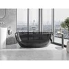 Vonia Mexen Pure Juodas Transparent, 170 x 80 cm, su chromo dangteliu
