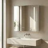Vonios spintelė su LED veidrodžiu Rea M1015-60, 60x65 cm