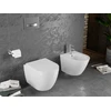 WC Komplektas Mexen 4in1 Fenix Slim su klozetu Lena Rimless Duroplast