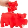 Žaislas gyvūnams piggy, 1 vnt.