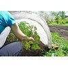 Žieminė augalų danga, 30 g/m², 1.1 x 5 m, balta
