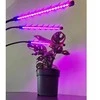 LED lempa augalų augimui 3x20