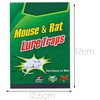 Mouse&amp;Rat lipni gaudyklė graužikams, spąstai pelėms, 5 vnt.