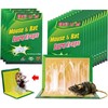 Mouse&amp;Rat lipni gaudyklė graužikams, spąstai pelėms, 5 vnt.
