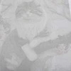 Maaleo Tapyba pagal skaičius - Katė 40X50CM PREMIUM