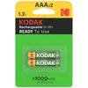 Kodak įkraunamas Ni-MH R3 1000 mAh (2 pakuotės)