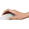 Belaidė pelė Logitech M240 Silent Bluetooth Mouse, baltos spalvos