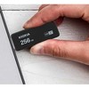 USB atmintinė Kioxia TransMemory U365, 256 GB (LU365K256GG4)