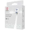 Oclean Smaller Šepetėlio galvutė 2 pcs P3K4 Pilkas
