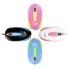 Genius Pelė DX-Mini pelė, 1000DPI, optinė, 3 klasė, laidinis USB, balta, klasikinė, RGB apšvietimas