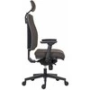 Powerton ERGO JANA Ergonomiczny fotel biurowy, Pilka