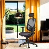 Powerton Biuro kėdė Ergonomiška biuro kėdė Tina, pilka