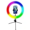 Žiedinė lempa Powerton WPRL1RGB 10 ", RG