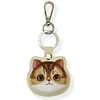 Dėklas daiktų ieškikliui Nimmy Big Eyed Pet 2.0 Cat khaki