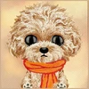 NIMMY dėklas BIG EYED TEDDY POODLE, skirtas IPHONE 18 Pro Max/17 Pro Max, ruda