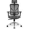 Ergonominė kėdė Diablo V-Basic Normal Ergonomic Chair, Pilkos/ Juodos spalvos