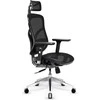 Ergonominė kėdė Diablo V-Basic Normal Ergonomic Chair, Juodos spalvos