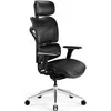 Ergonomiška kėdė Diablo Chairs V-Commander juoda
