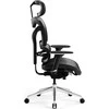 Ergonomiška kėdė Diablo Chairs V-Commander juoda