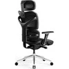 Ergonomiška kėdė Diablo Chairs V-Commander juoda