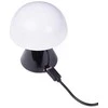 Lexon Lexon stalo lempa Lexon Mina Mini LED lempa Jude/ Jude LH60NG [H]