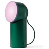 Lexon Orbe LED lempa tamsiai žalia LH88DG1