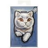 NIMMY magnetic hanger DENIM FASHION BRITISH SHORTHAIR CAT juodas