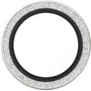 Panzer Glass Grūdintas stiklas na objektyvas PanzerGlass Hoops Glitter do iPhone Air sidabrinė