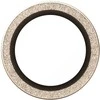 Panzer Glass Grūdintas stiklas na objektyvas PanzerGlass Hoops Glitter do iPhone Air auksinė