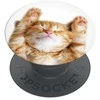 Popsockets PopGrip Basic Snoozy Cat