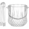 4Living Glass ledo kibiras su žnyplėmis, Ø 13,5 cm