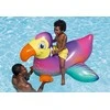Bestway – Dandy Dodo Ride-On (41504)