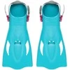 Nardymo komplektas BESTWAY SPARK WAVE SNORKEL 25020