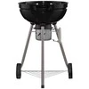 Mustang anglies grilis Basic 47