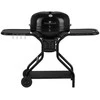 Mustang Kolgrill Mason