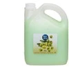 Nord Clean Rankų muilas alyvuogių 3 l