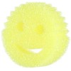 None Scrub Daddy Originalus