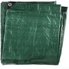 Tarmo PE brezentas su apdaila 80 g 8x12 m