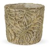 Vazonas