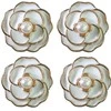 Sagos Coco1, 23 mm, 8 vnt.
