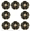 Sagos Coco2, 23 mm, 8 vnt.