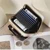 Maža piniginė ir kortelių dėklas Retro4