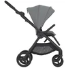 Anex IQ BASIC universalus vežimėlis 3in1 Loft