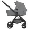 Anex IQ BASIC universalus vežimėlis 3in1 Loft